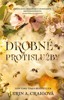 DROBNÉ PROTISLUŽBY