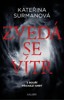 ZVEDÁ SE VÍTR