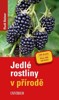 JEDLÉ ROSTLINY V PŘÍRODĚ - 2. VYDÁNÍ