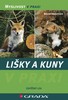 LIŠKY A KUNY