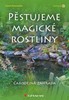 PĚSTUJEME MAGICKÉ ROSTLINY