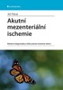 AKUTNÍ MEZENTERIÁLNÍ ISCHEMIE