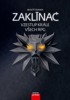 ZAKLÍNAČ: VZESTUP KRÁLE VŠECH RPG
