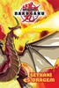 BAKUGAN—SETKÁNÍ S DRAGEM