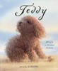 TEDDY-PŘÍBĚH O HLEDÁNÍ DOMOVA