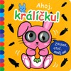 OKATÁ KNÍŽKA - AHOJ, KRÁLÍČKU!