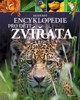 MODERNÍ ENCYKLOPEDIE PRO DĚTI - ZVÍŘATA