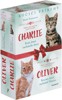 KOČIČÍ PŘÍBĚHY: OLIVER + CHARLIE - BOX