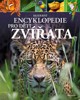 MODERNÍ ENCYKLOPEDIE PRO DĚTI - ZVÍŘATA