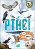 PTÁCI
