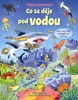 CO SE DĚJE POD VODOU-PODÍVEJ SE POD OBRÁZEK