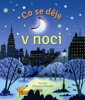 CO SE DĚJE V NOCI