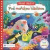 POD MOŘSKOU HLADINOU - PRVNÍ OBJEVY