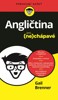 ANGLIČTINA PRO NECHÁPAVÉ