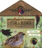 PTAČÍ BUDKA-ODKLÁPĚJ OKÉNKA A OBJEVUJ