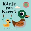 KDE JE PAN KAČER? PLSTĚNÁ OKÉNKA A ZRCÁT