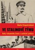 VE STALINOVĚ TÝMU-ROKY RISKANTNÍHO ŽIVOTA V SOVĚTSKÉ POLITI.