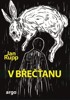 V BŘEČŤANU