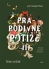 PRAPODIVNÉ POTÍŽE II: STÍN SVIŠTĚ