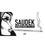 KÁJA SAUDEK-TECHNICKÉ NOVINY 1971-1977