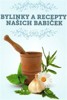 BYLINKY A RECEPTY NAŠICH BABIČEK