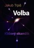 VOLBA-KLÍČOVÝ OKAMŽIK