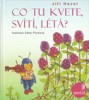CO TU KVETE,SVÍTÍ,LÉTÁ?