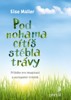 POD NOHAMA CÍTÍŠ STÉBLA TRÁVY-PŘÍBĚHY PRO IMAGINACI A AUT.T.