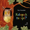 KDOPAK TU SPÍ?