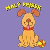 MALÝ PEJSEK