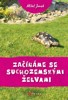 ZAČÍNÁME SE SUCHOZEMSKÝMI ŽELVAMI
