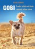 GOBI - PRAVDIVÝ PŘÍBĚH MALÉ FENKY S OPRAVDU VELKÝM SRDCEM