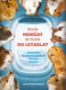 KOLIK MORČAT SE VEJDE DO LETADLA?-ODPOVĚDI NA NEJZÁLUDNĚJŠÍ