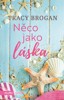 NĚCO JAKO LÁSKA