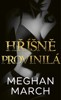 HŘÍŠNĚ PROVINILÁ (SIN TRILOGY 2)