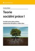TEORIE SOCIÁLNÍ PRÁCE I - SOC.PRÁCE JAKO PROFESE,AKADEM.DISC