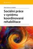 SOCIÁLNÍ PRÁCE V SYSTÉMU KOORDINOVANÉ REHABILITACE