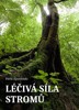 LÉČIVÁ SÍLA STROMŮ
