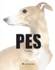 PES V UMĚNÍ