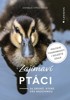 ZAJÍMAVÍ PTÁCI - 36 DRUHŮ, KTERÉ VÁS NADCHNOU