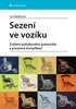 SEZENÍ VE VOZÍKU - ZVÝŠENÍ POHYBOVÉHO POTENCIÁLU A PREVENCE.