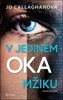 V JEDINÉM OKAMŽIKU