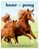 KONĚ A PONY - VŠE O KONÍCH, JEJICH PLEMENECH, CHOVU, VÝCVIKU