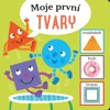 MOJE PRVNÍ TVARY