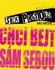 SEX PISTOLS: CHCI BEJT SÁM SEBOU