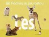 LES - PODÍVEJ SE, JAK ROSTOU