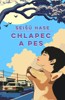 CHLAPEC A PES