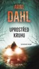 UPROSTŘED KRUHU