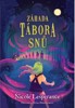 ZÁHADA TÁBORA SNŮ