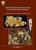 HISTORICKÉ DOLOVÁNÍ DRAHÝCH KOVŮ NA ČESKOMORAVSKÉ VRCHOVINĚ